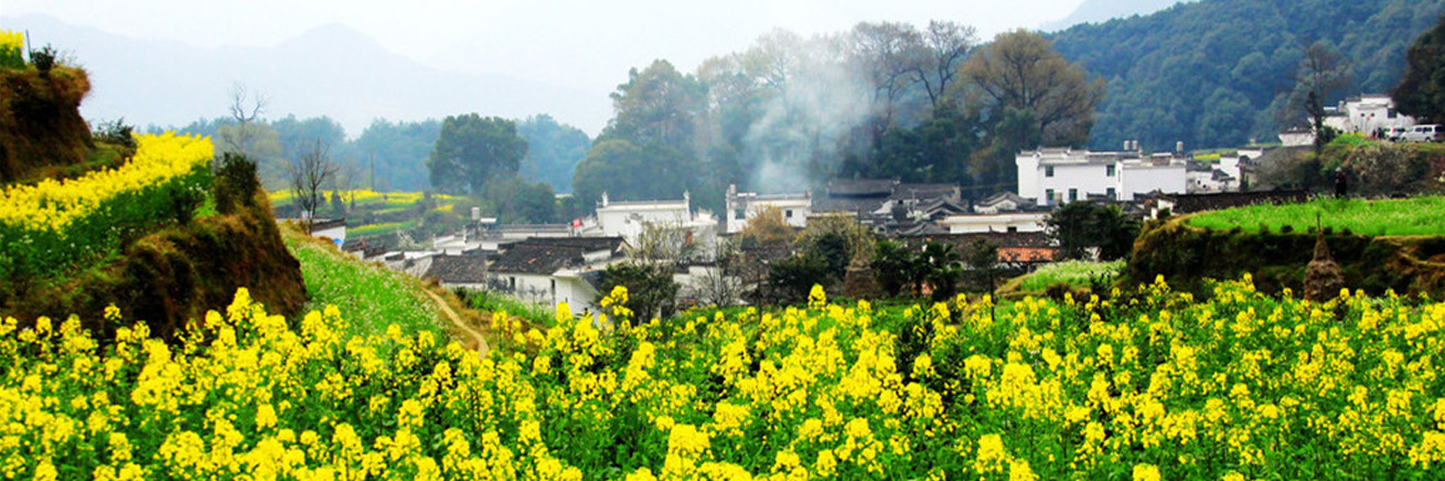 <b>勤学 务实 圆融 卓越</b>